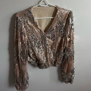 Sequin V-Neck Blouse - Silver and Tan